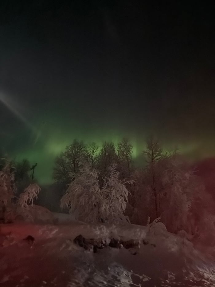 Northern lights illuminate frost-covered landscape in Brorstad, Norway