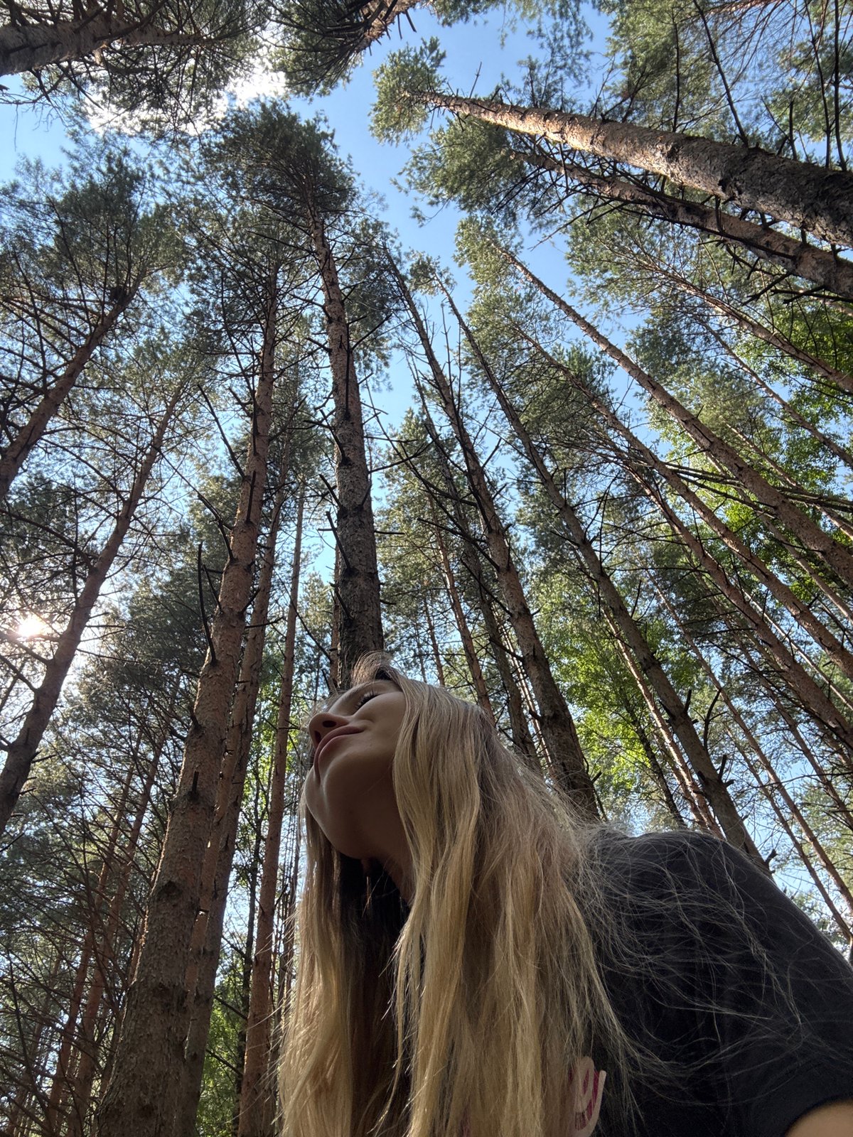 Looking up through a dense pine forest in Chaikovsky, Russia