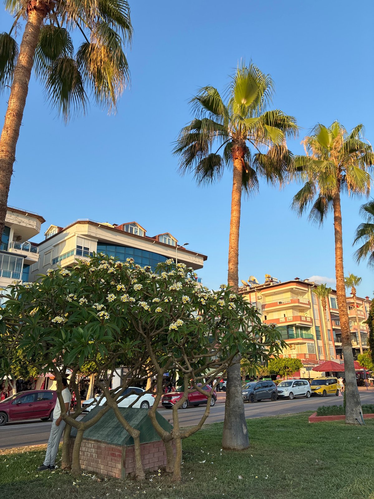 Alanya beachfront and promenade at golden hour