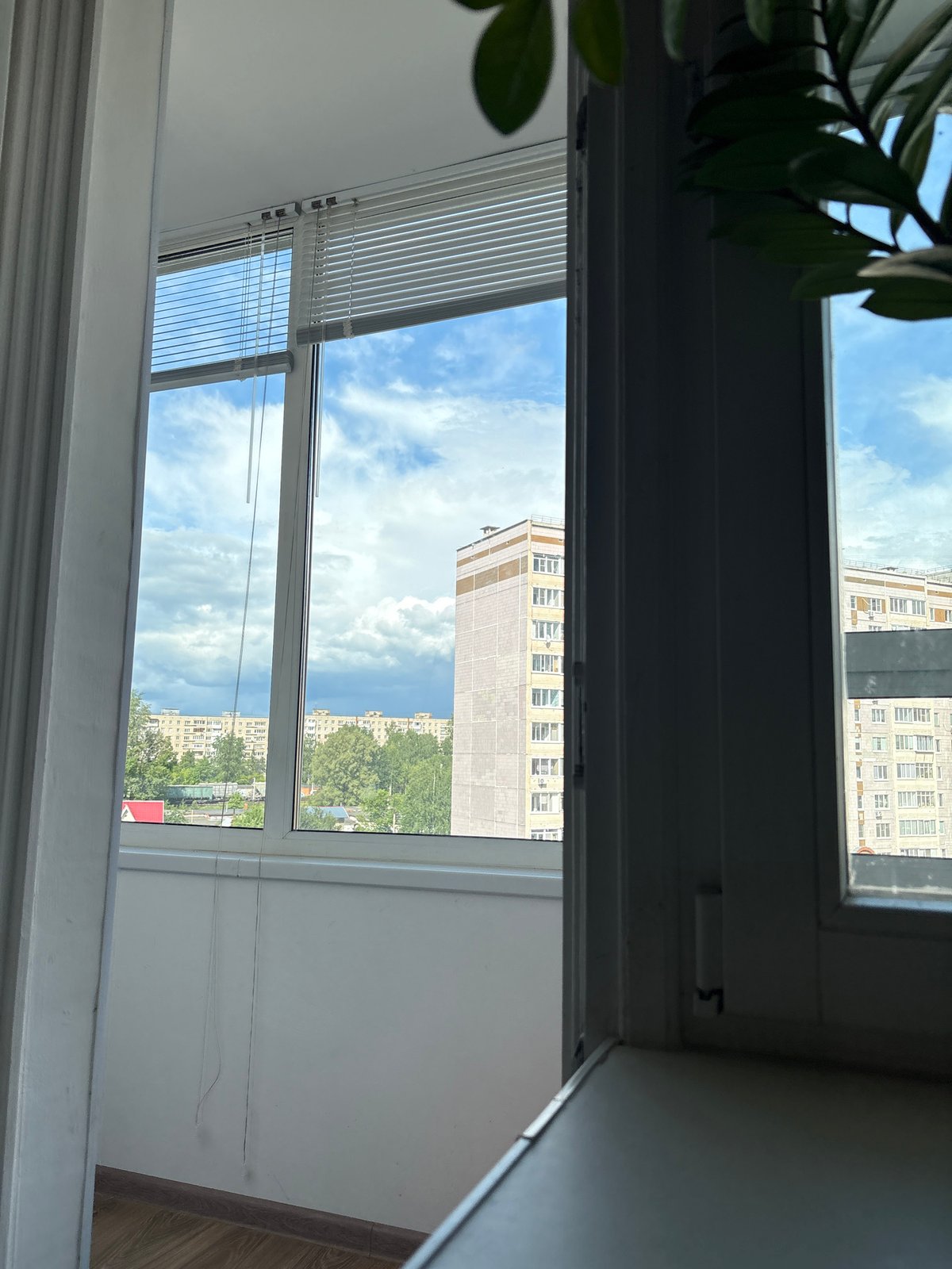 Ordinary afternoon moments captured from Chaikovsky apartment window