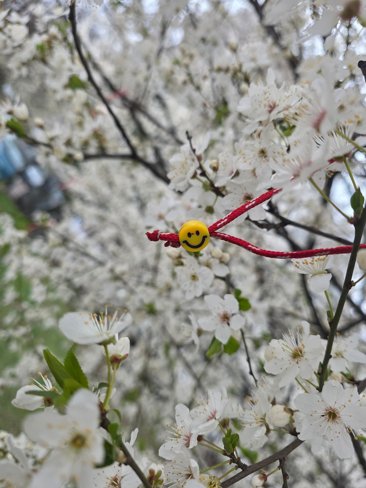 Smiley face charm hangs from blossoming tree in Sofia
