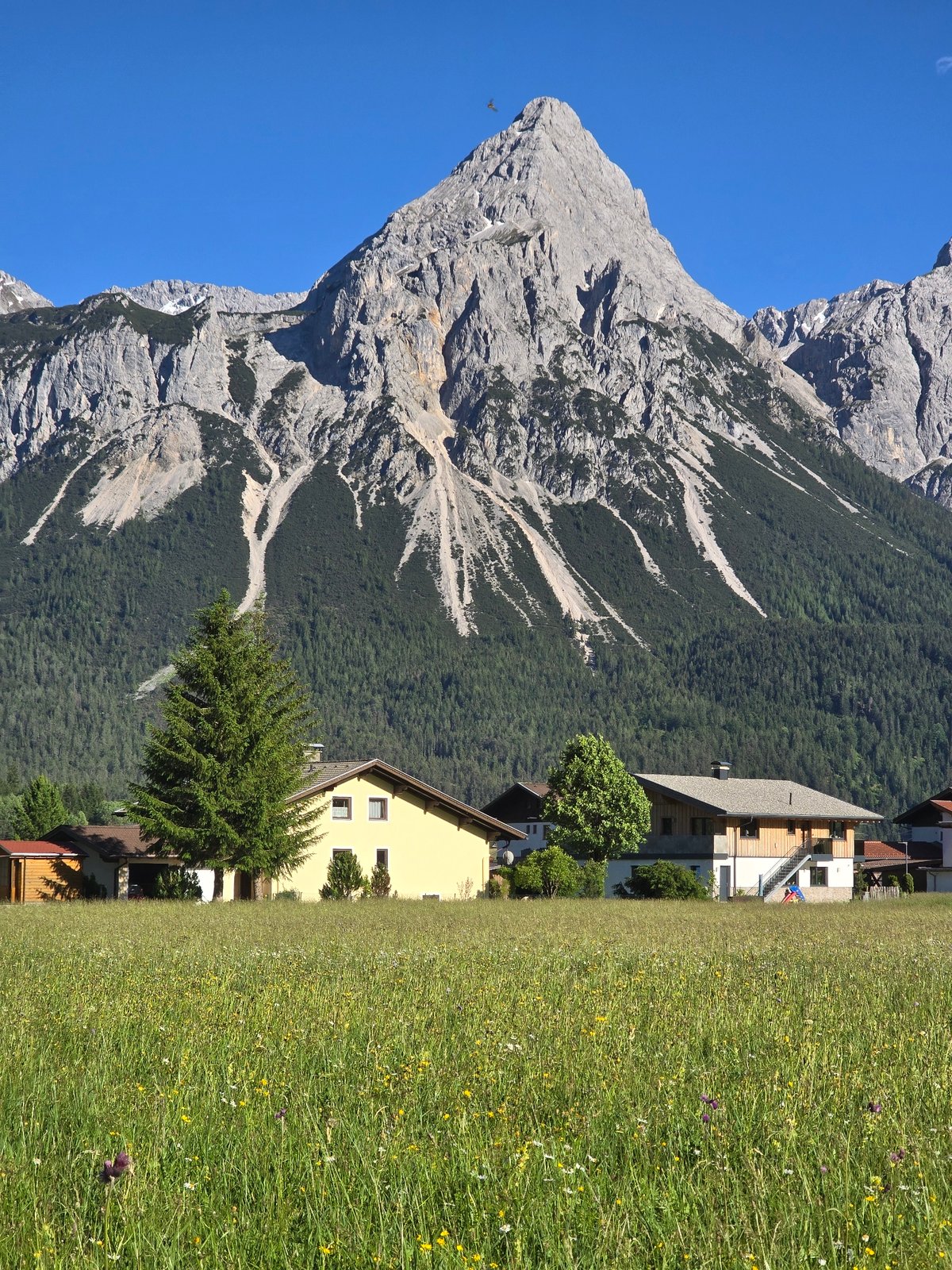 Alpine meadows and mountain views in Lermoos, Austria