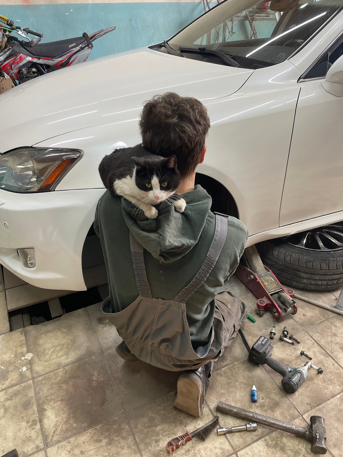 Person tends cat, eats meal during car repair work