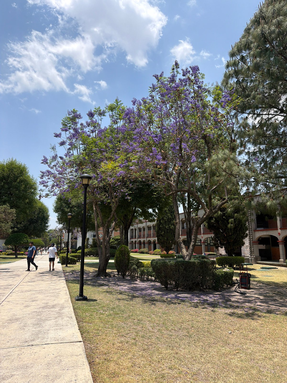 Daily life scenes captured across San Andrés Cholula