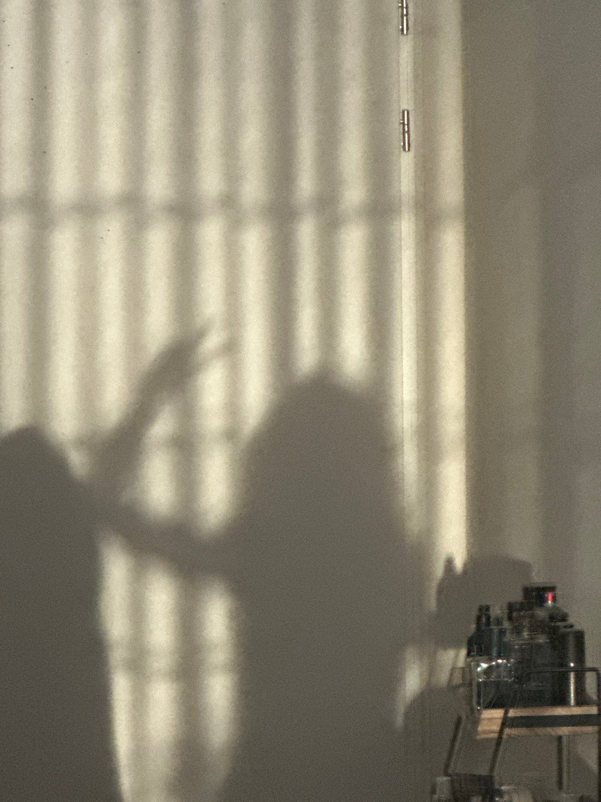 Shadow play and modern architecture in Amsterdam on a sunny evening