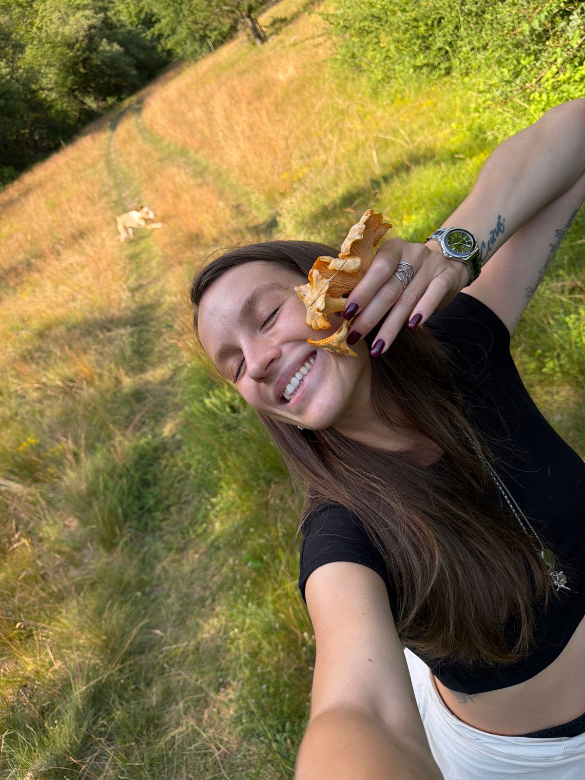 Foraging chanterelles by a turquoise river in Montenegro