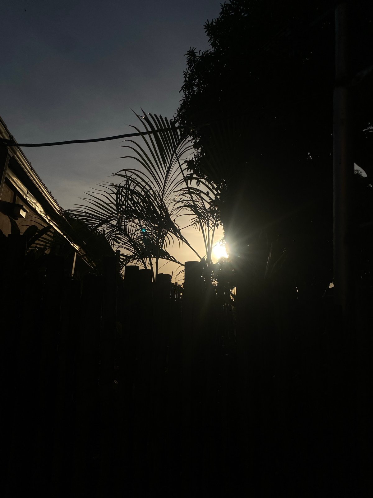 Dramatic sunrise/sunset silhouettes captured in Barden Yana, Nigeria