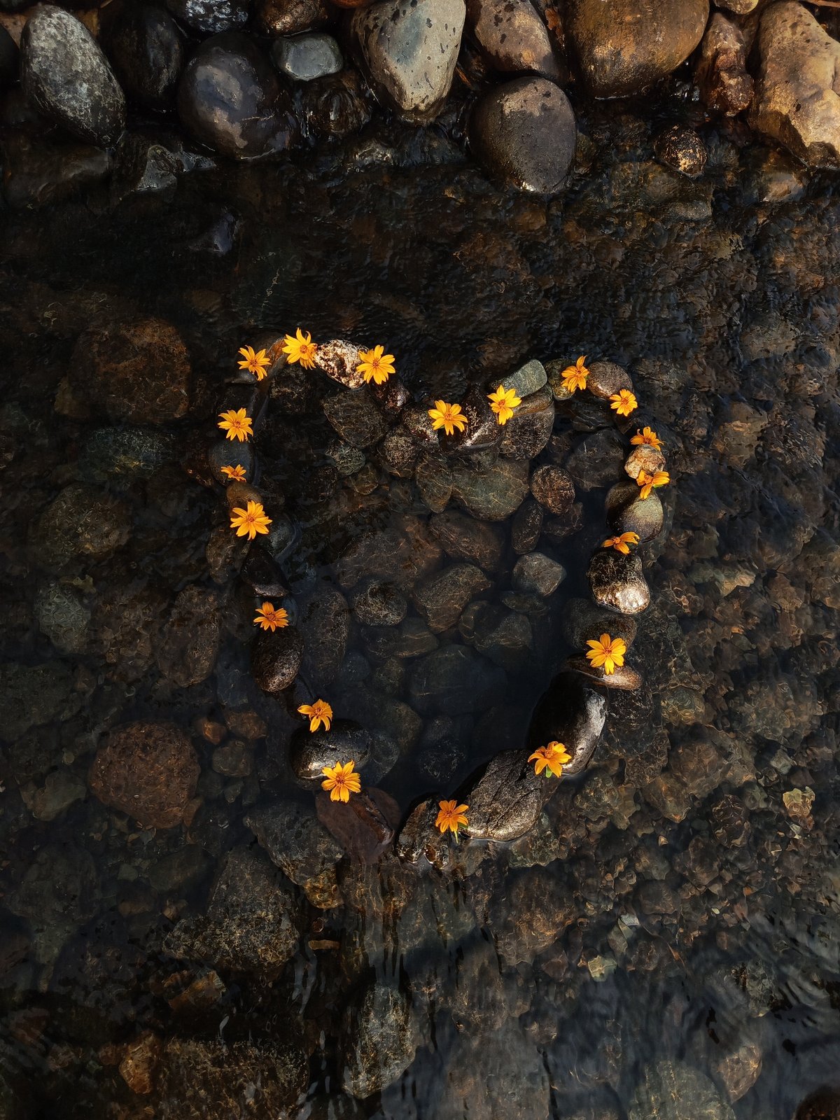 Heart-shaped flower arrangement created in Ecuador stream documented by witness