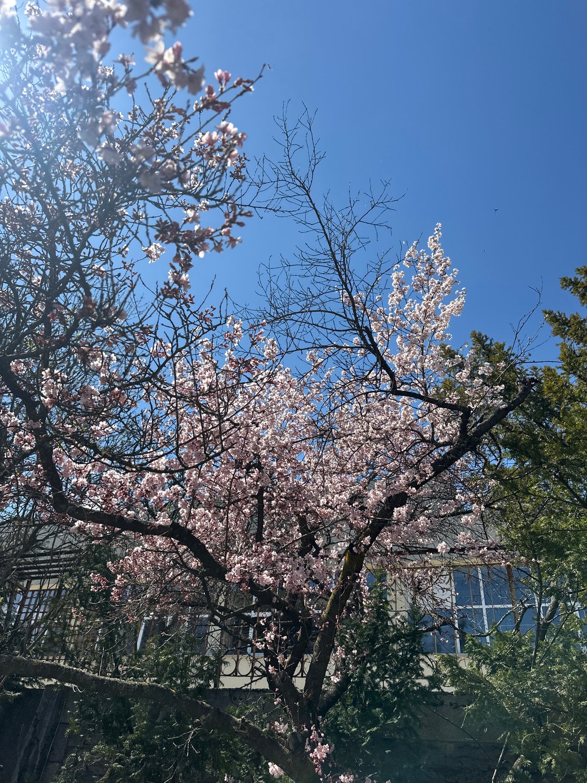 Spring day captured across Sofia landmarks and streets