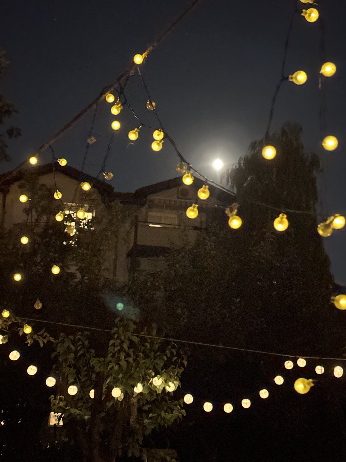 Warm summer night in a Belgrade backyard, globe lights overhead