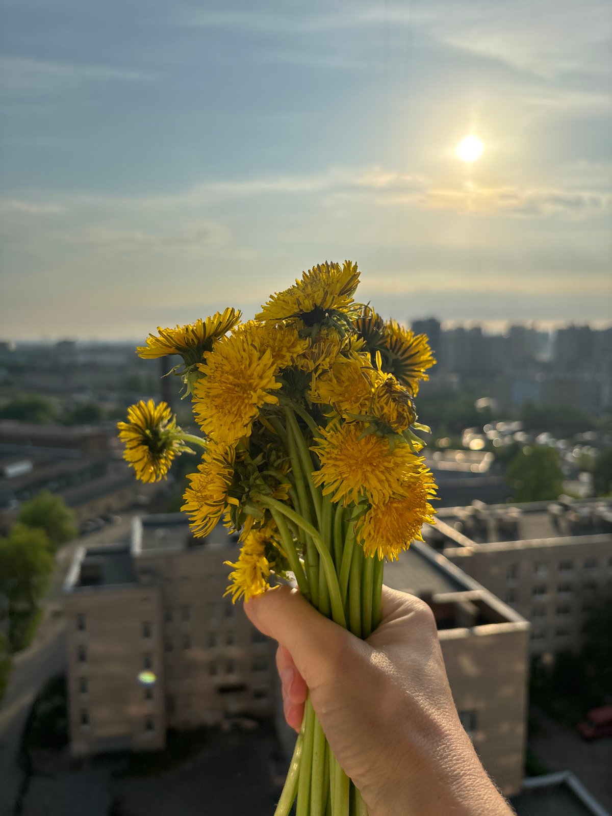 Woman holds dandelion bouquet in urban setting during afternoon