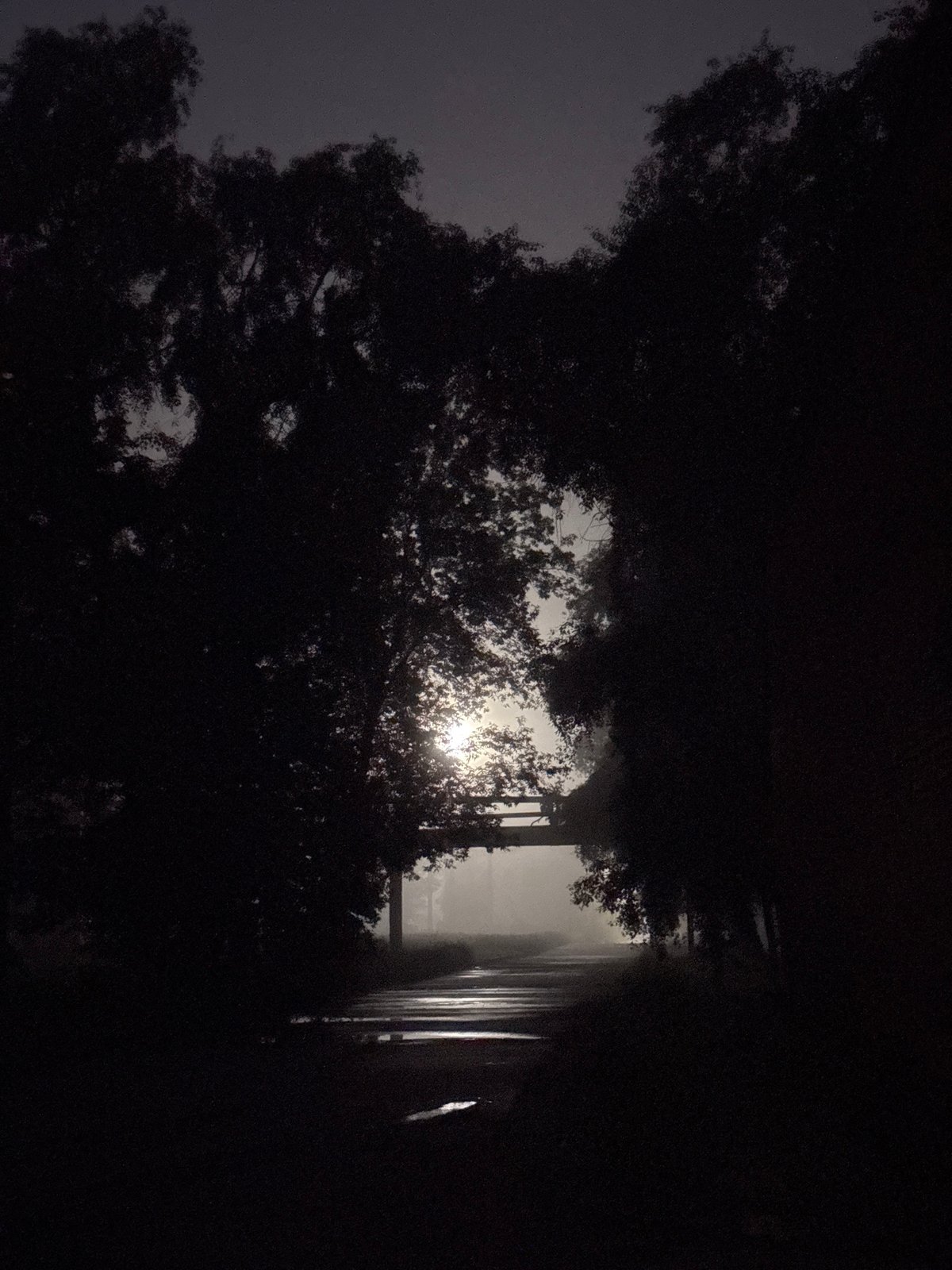 Misty nighttime scenes captured on wet Homyel pathway