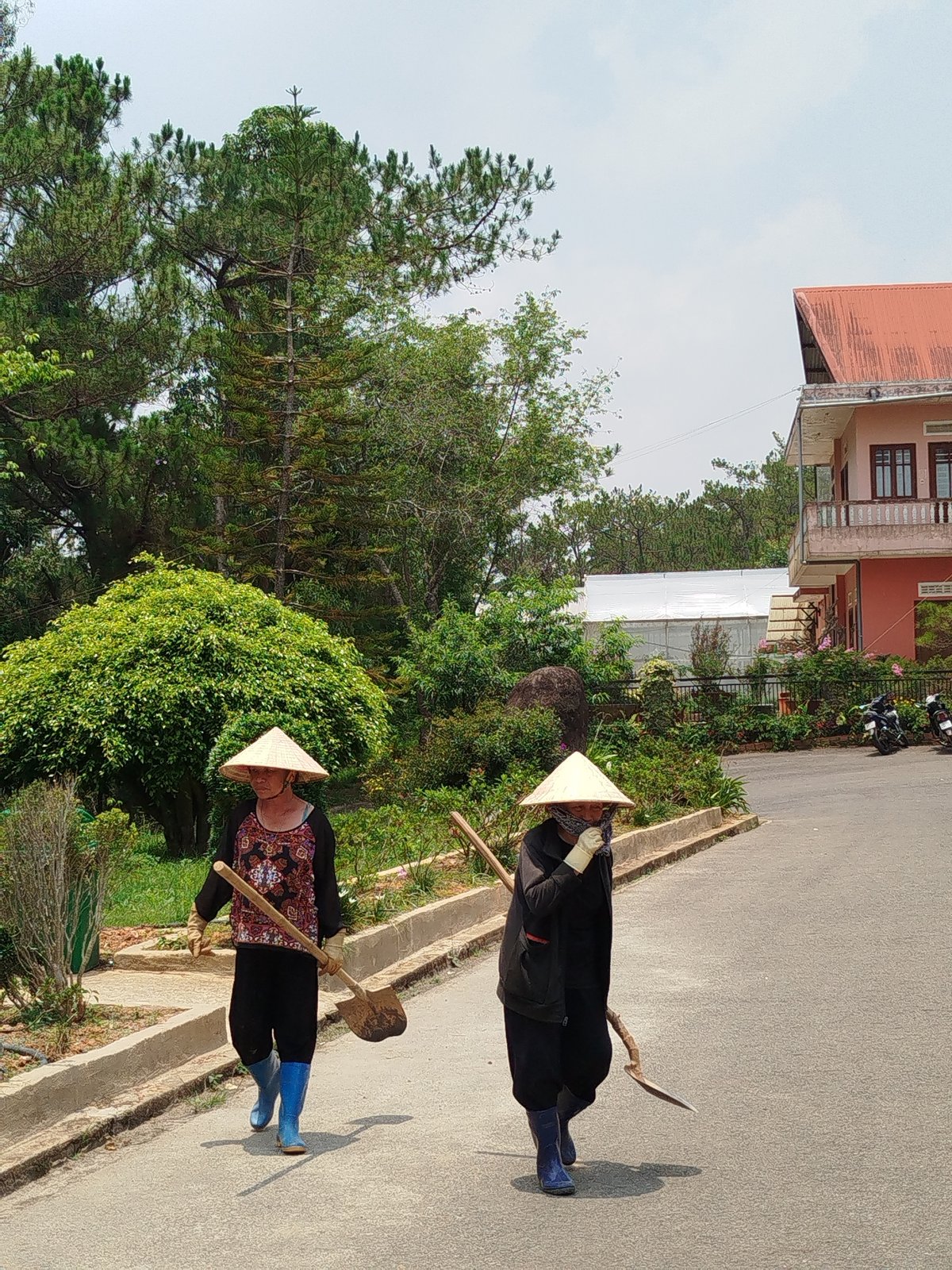 Religious sites and sculpture garden documented in Đà Lạt Vietnam