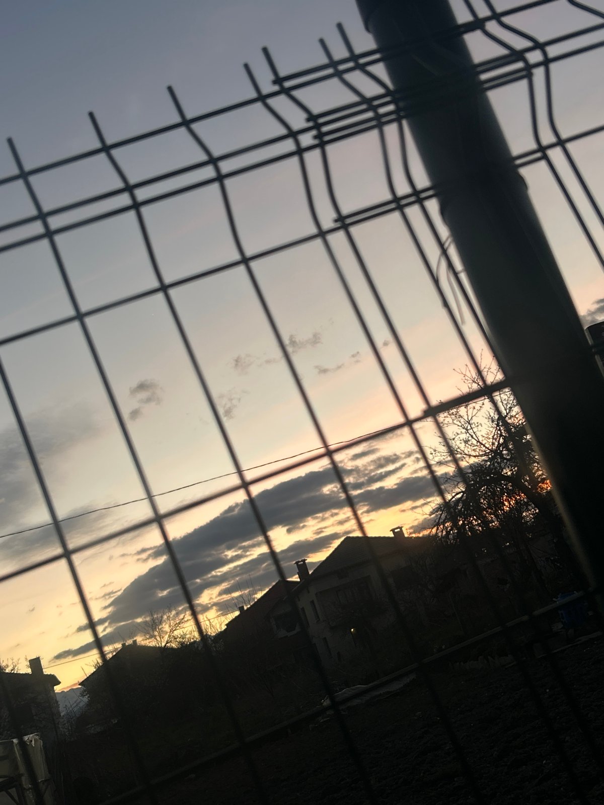 Outdoor scene captured through damaged wire mesh fence