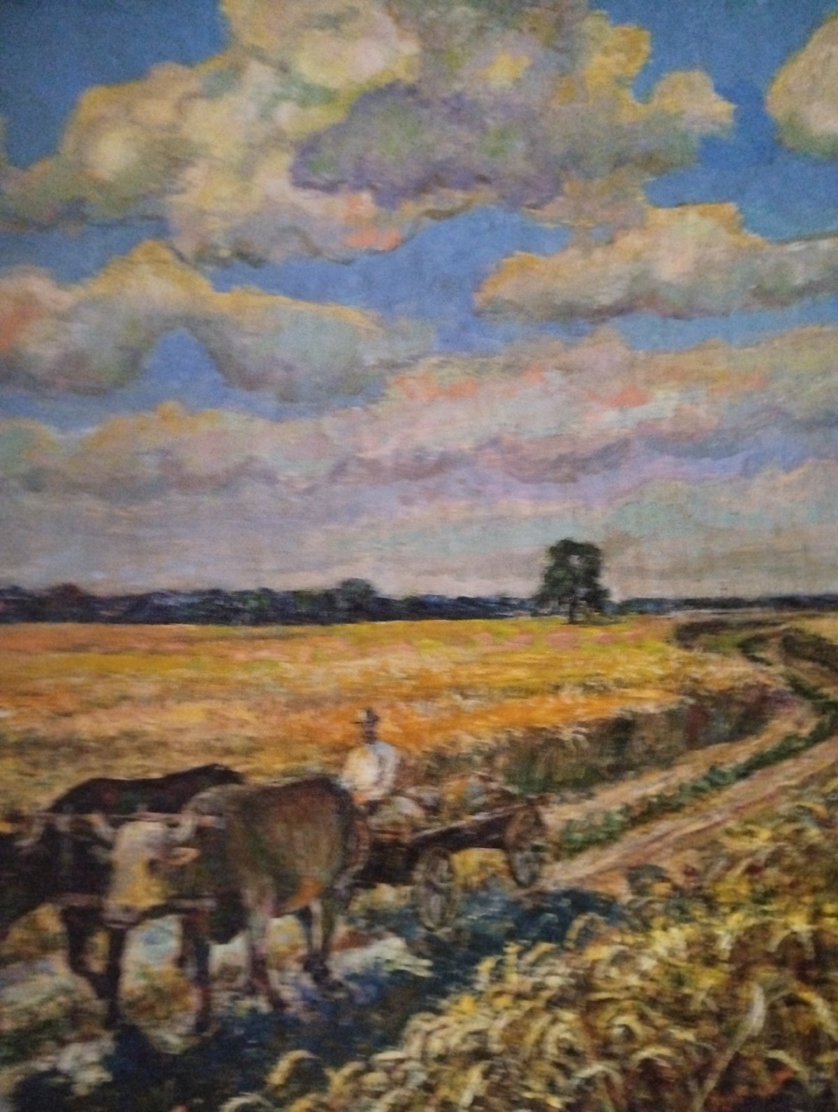 Art collection documented in Sumy home features Ukrainian landscapes