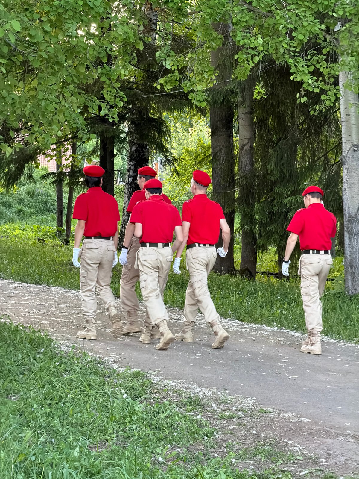 Military-style rope training conducted in Russian forest near Забегалово