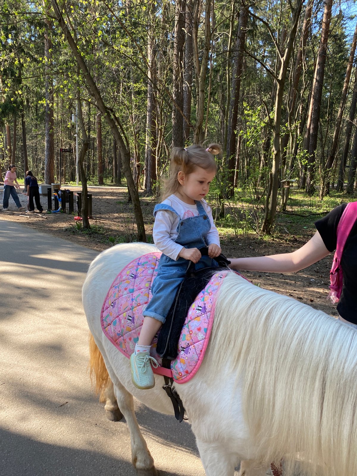 Child enjoys pony ride and park activities in Perm