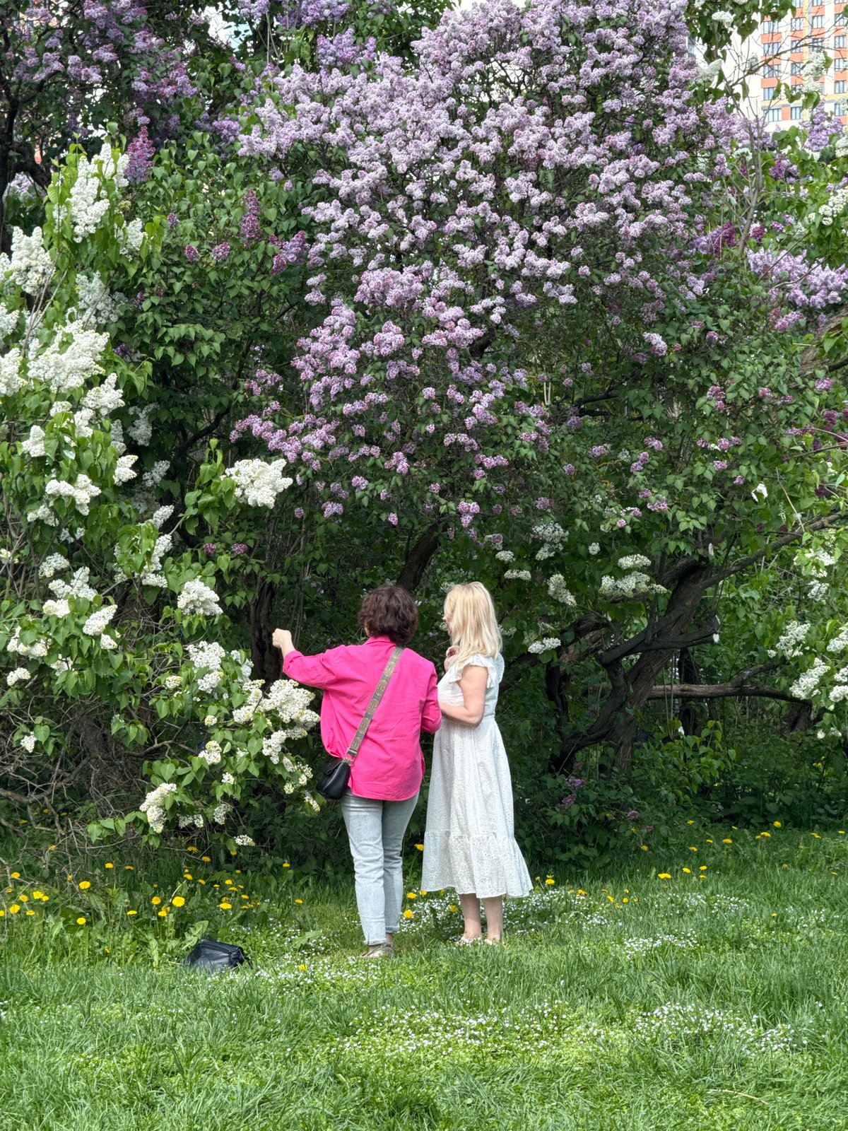 Spring blooms draw photographers to Moscow parks