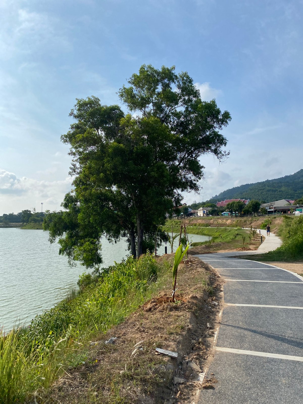 Tranquil roadside waterway scene documented in Choeng Thale, Thailand