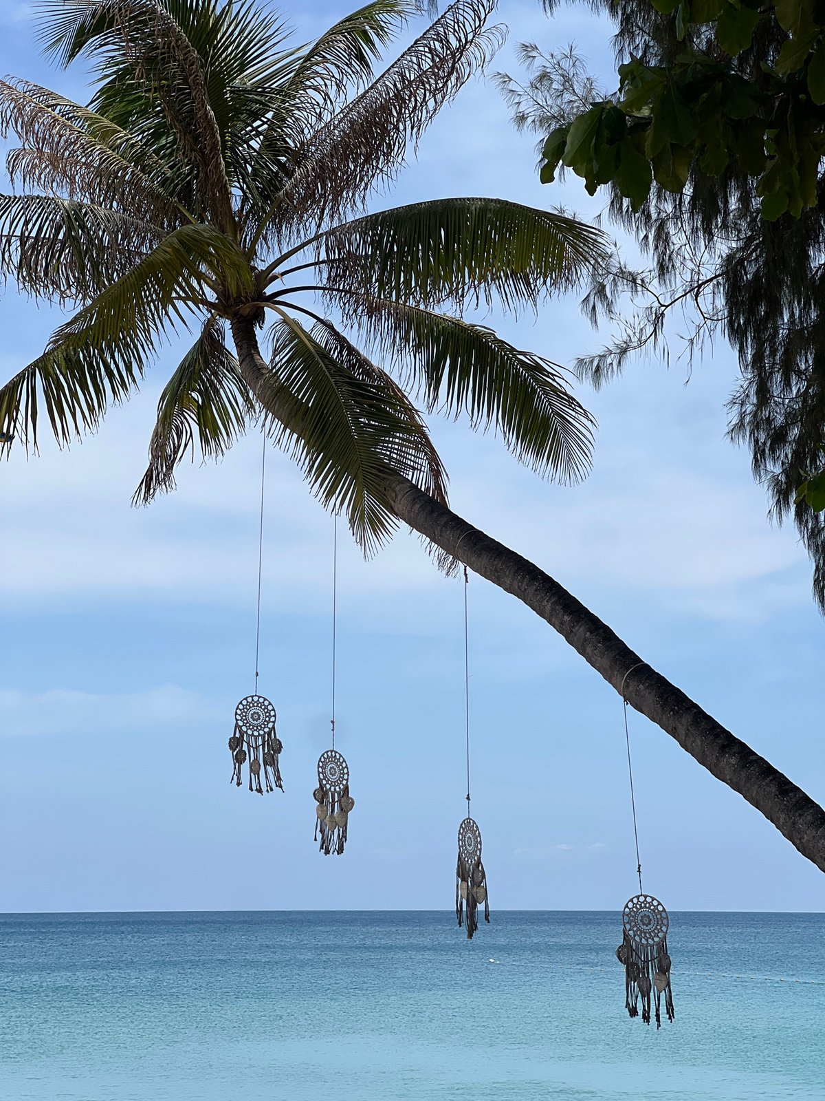 Early morning tropical urban scenes documented by single witness