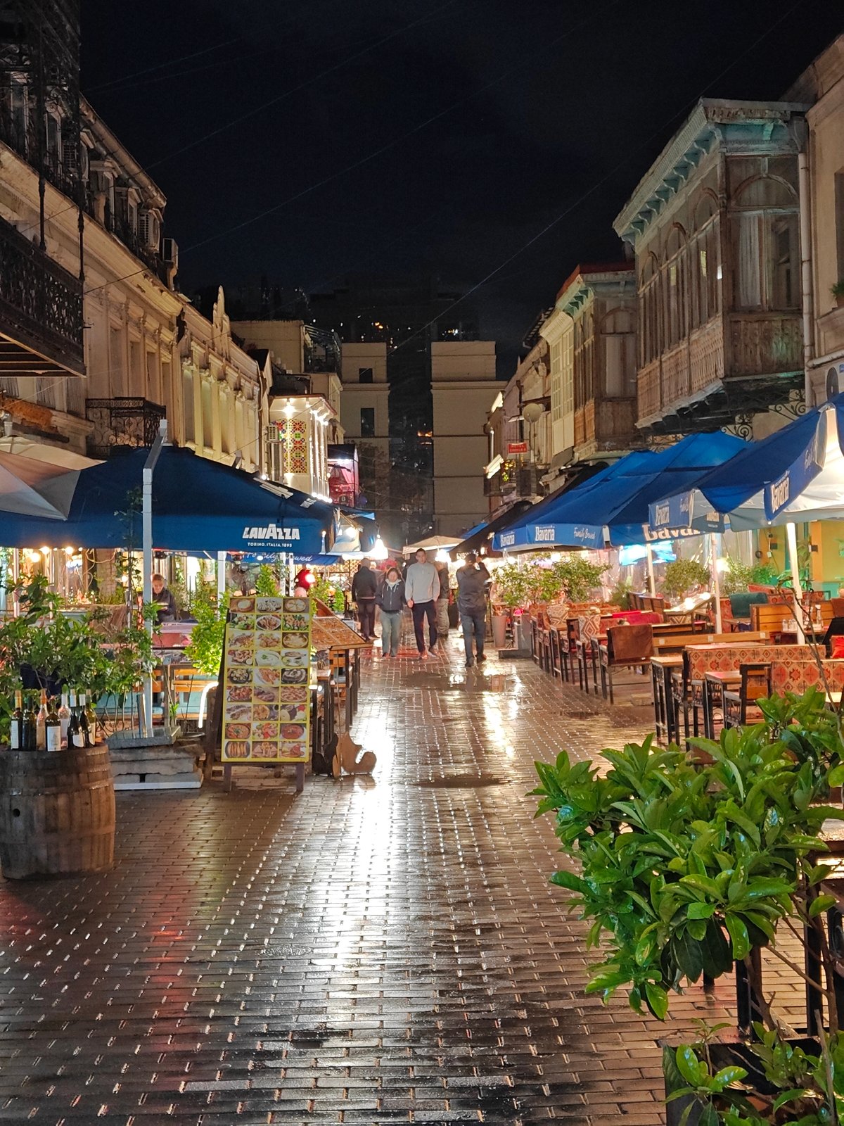 Evening stroll captures illuminated Tbilisi streets after rain