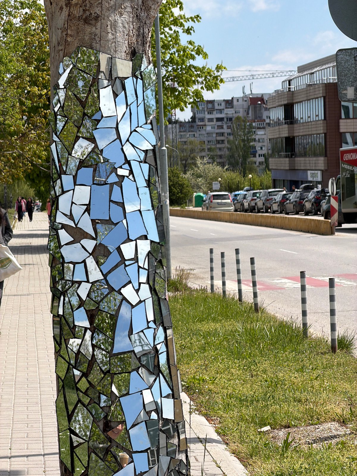Mirror art installation spotted on Sofia tree trunk