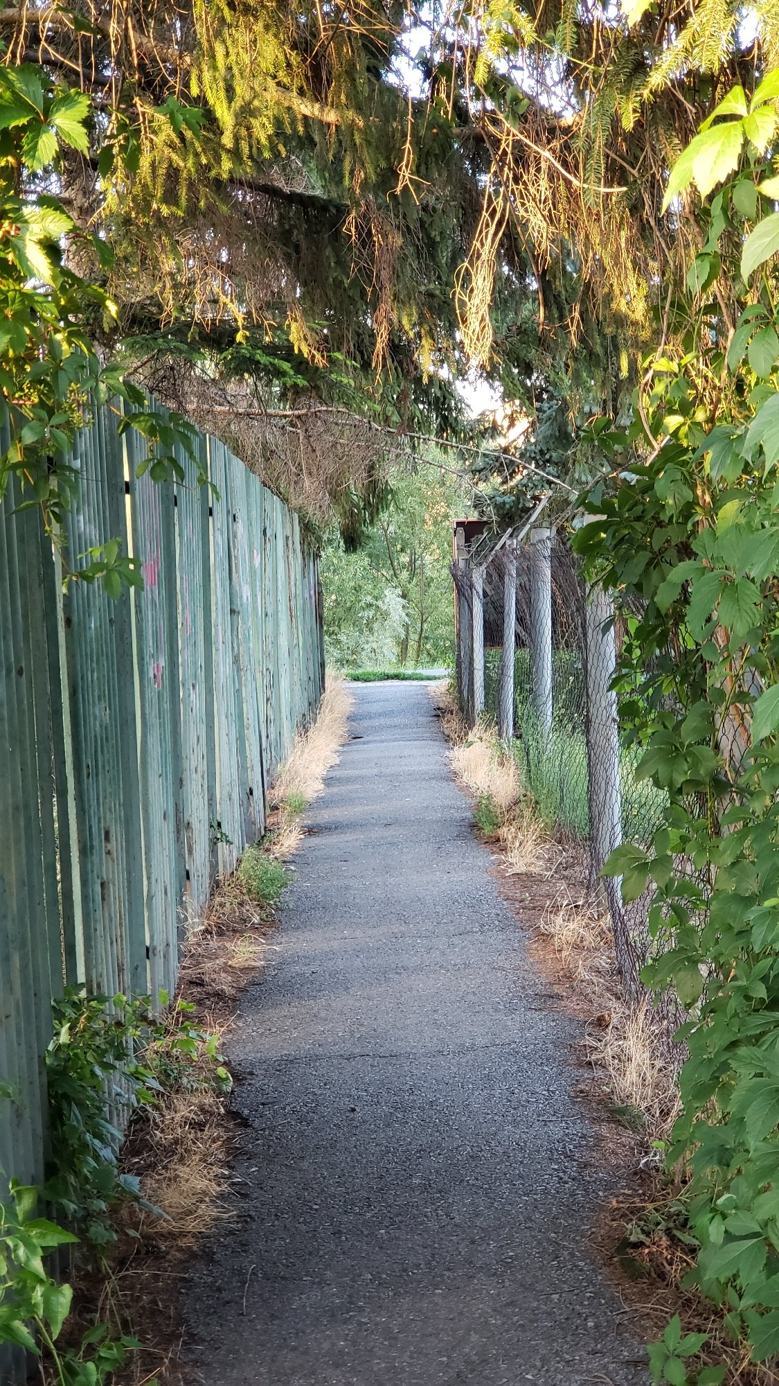 Walking a mixed-path route through Prešov, ending indoors