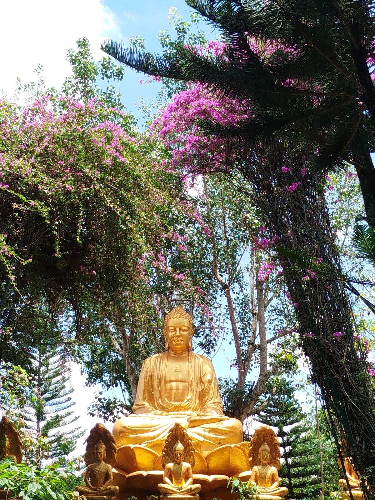 Visitor documents Buddhist temple statuary at Nam Ban pagoda
