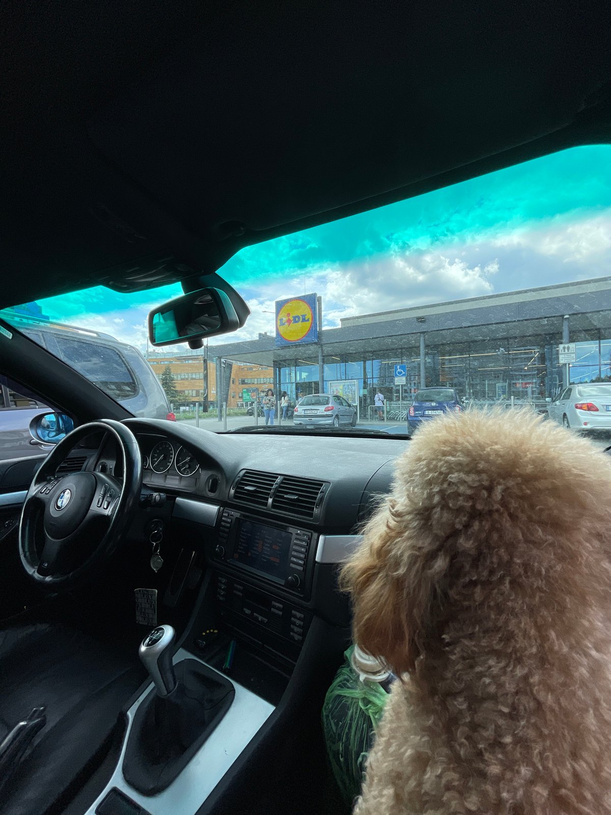 Dog, cars, motorcycles spotted at Varna shopping center