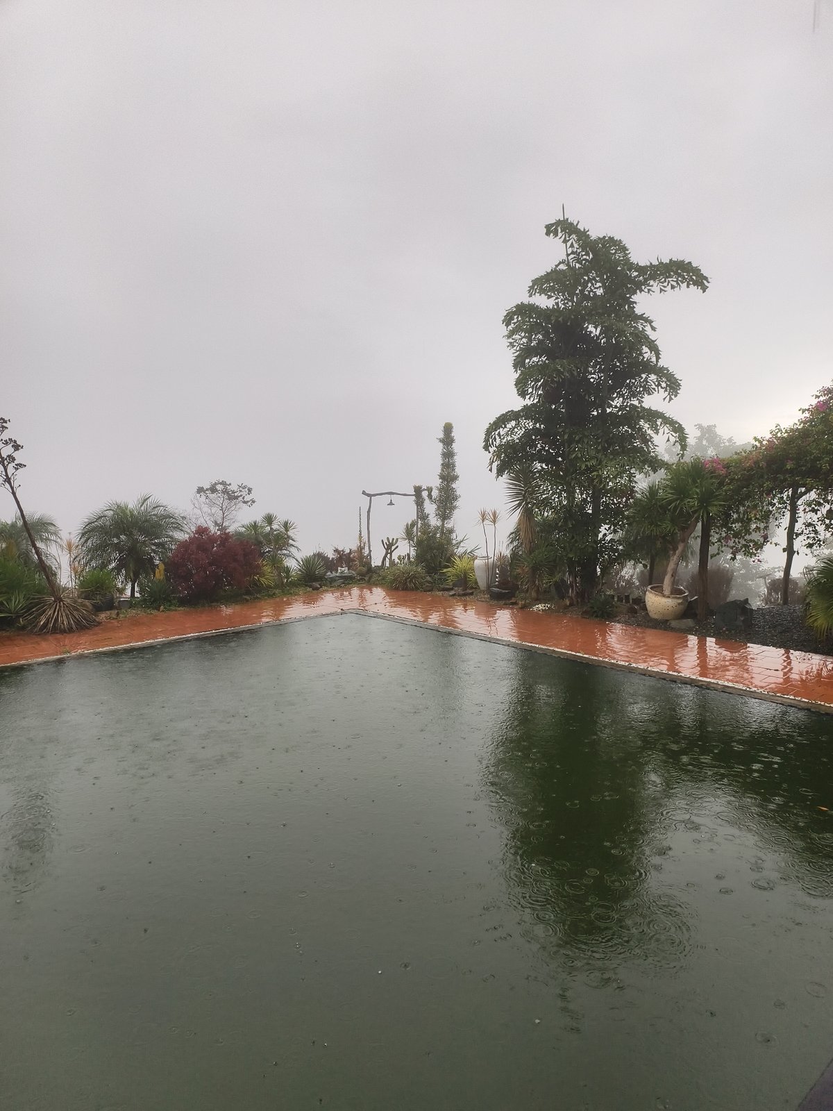 Rainy night captured across outdoor water features and indoor moments