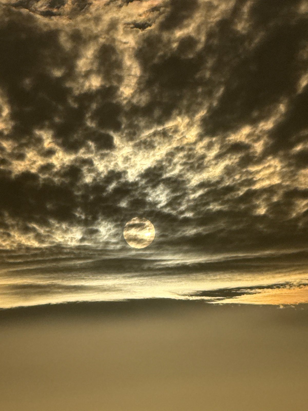 Clouds and canine captured in Tel Aviv afternoon observations