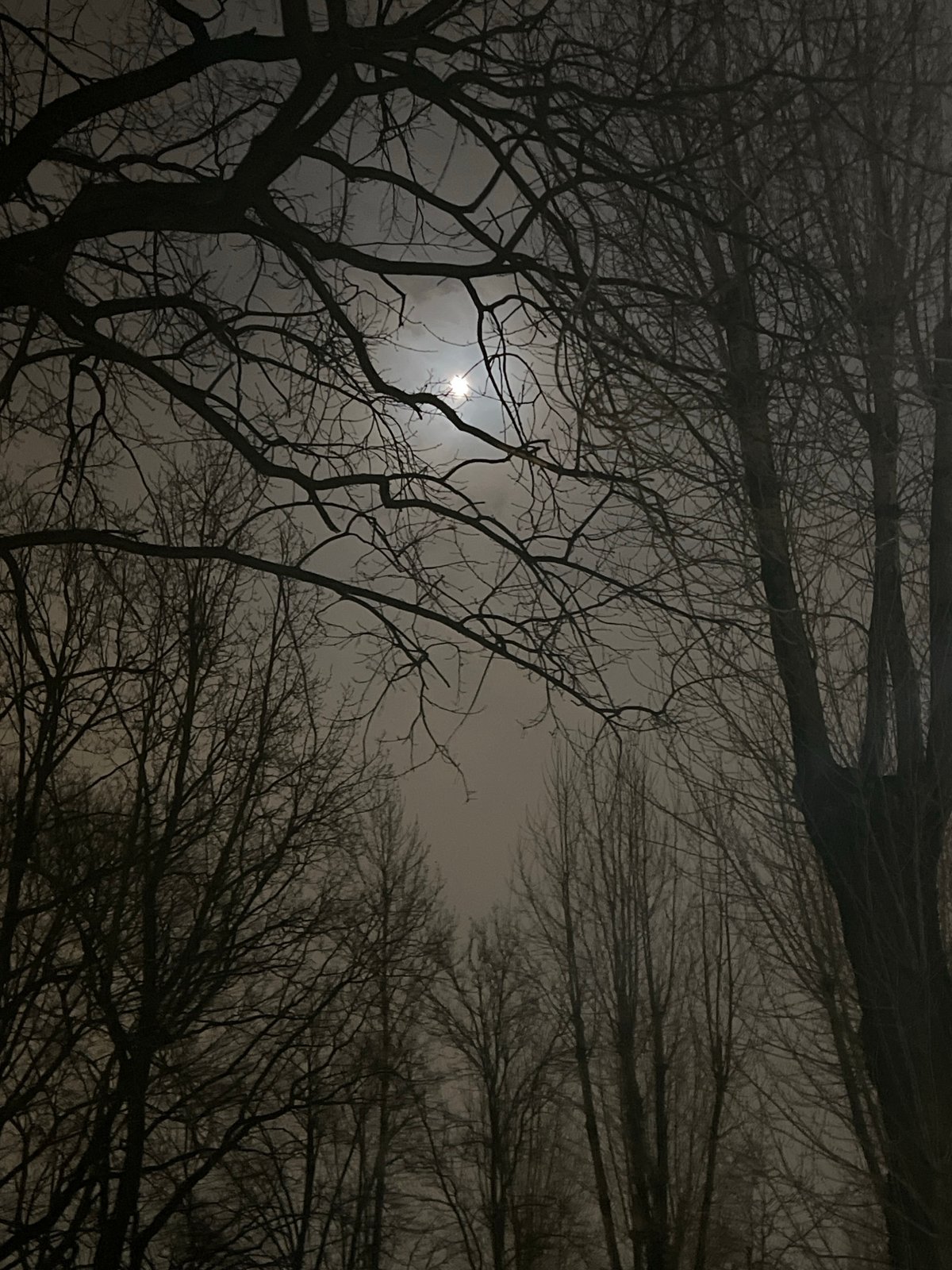 Evening life captured across Saint Petersburg neighborhoods