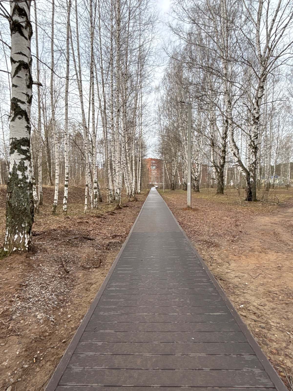 Early morning pedestrians observed on Chaikovsky walkways and parks