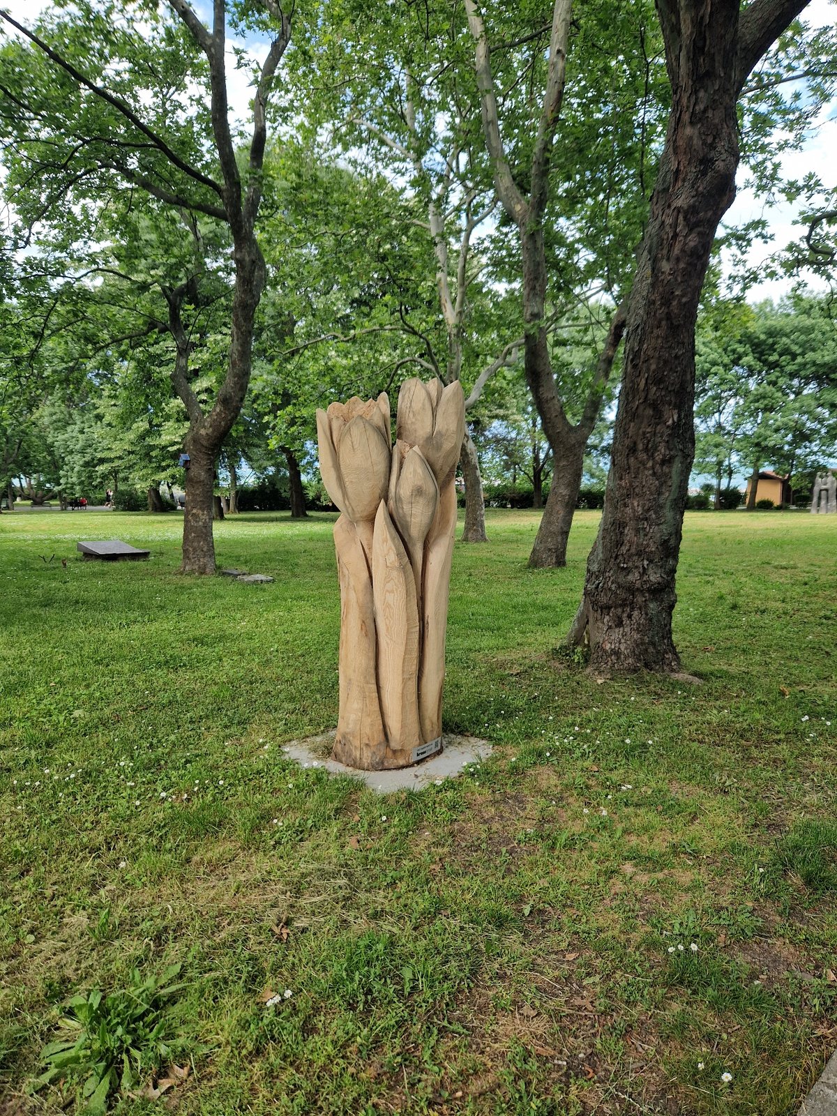 Outdoor events and activities documented across Bulgarian parks