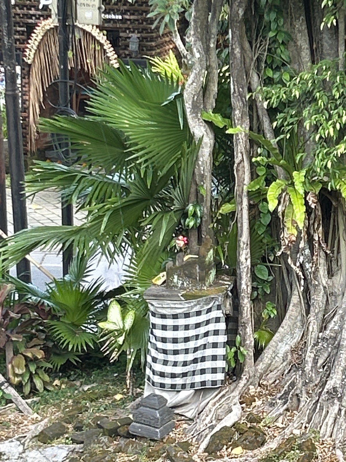 Food and street life around a classic Ubud afternoon stop