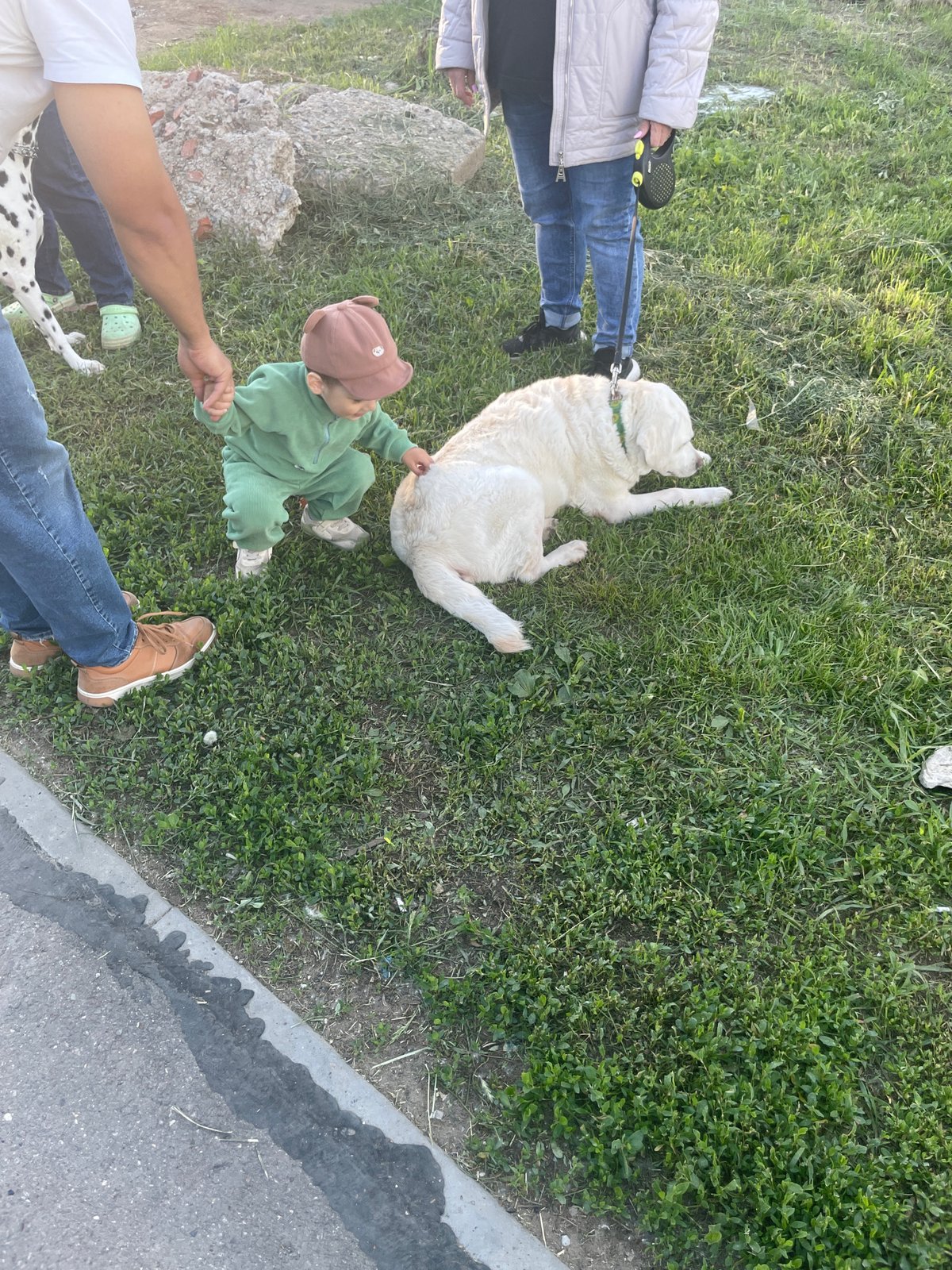 Families with dogs enjoy sunny afternoon in Izhevsk park