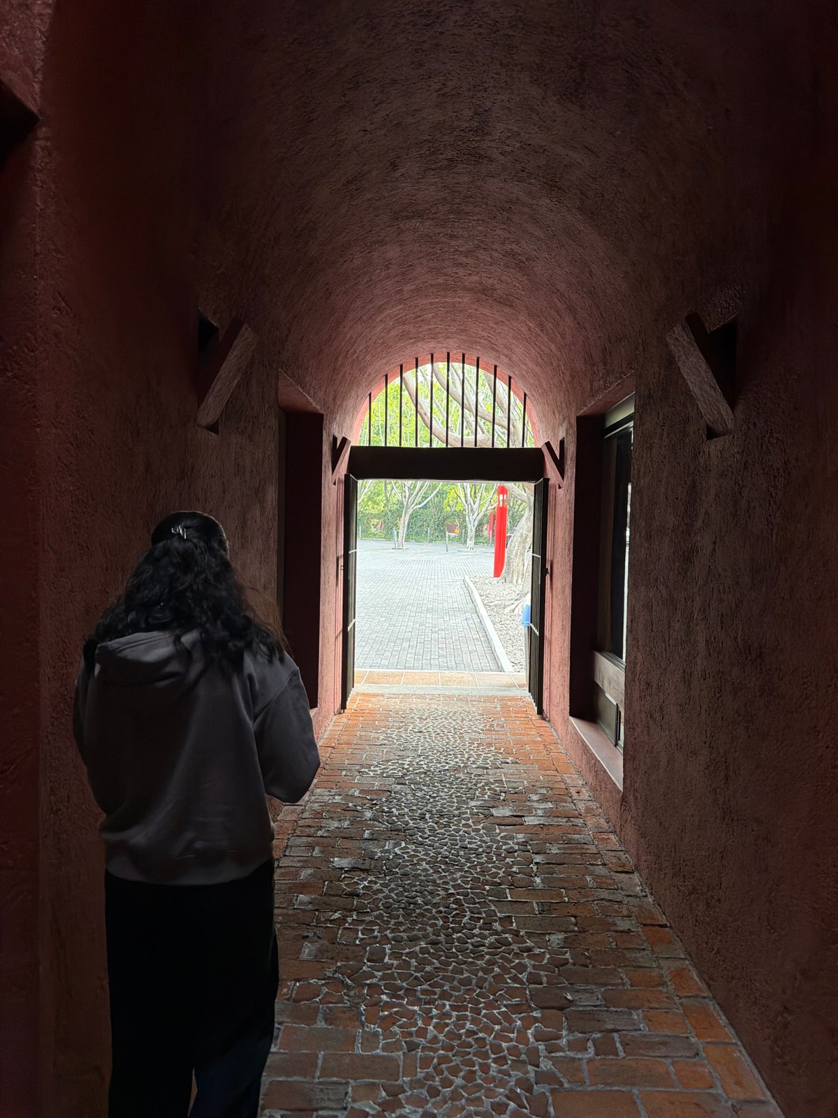Witness documents Camelia Pasaje building scenes in Puebla, Mexico