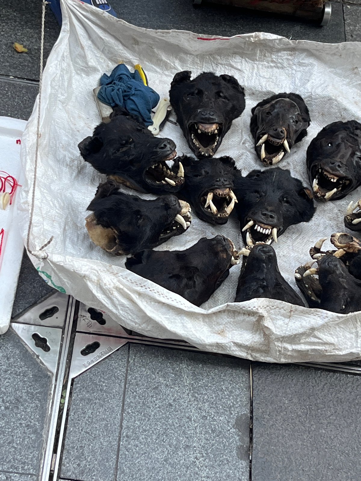 Morning street life documented across Liangjiang commercial district