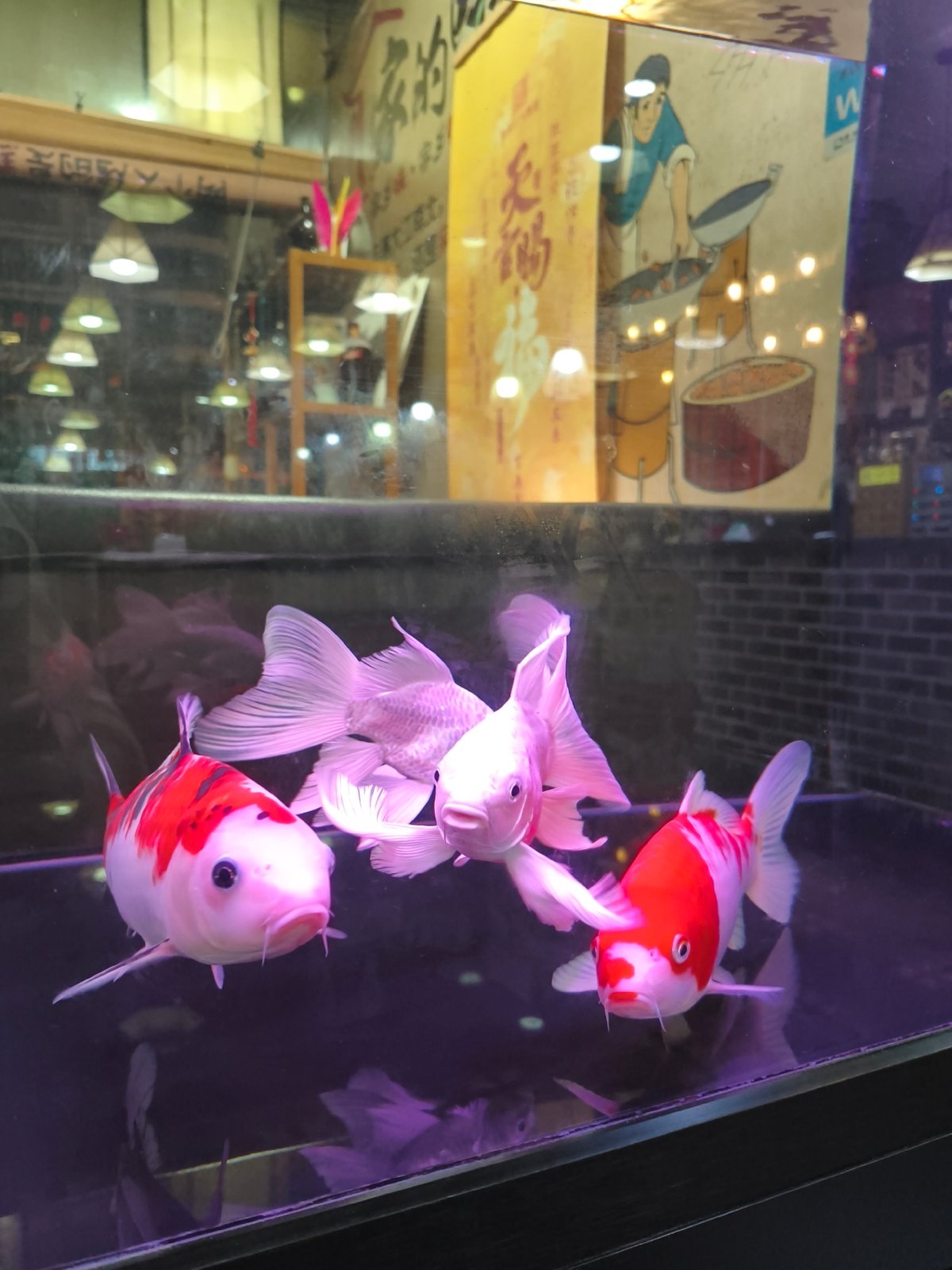 Lunch stop at a decorated Jixi restaurant with drinks and stew