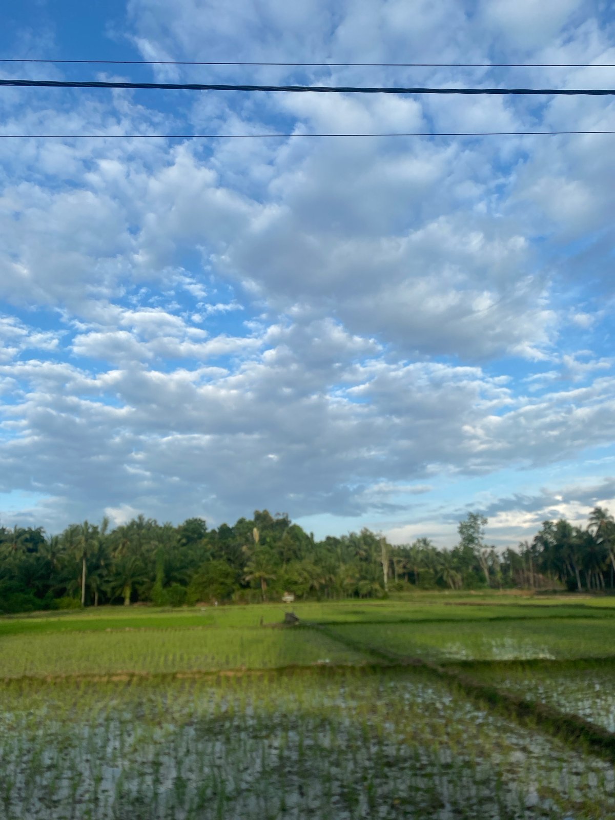 Rural Ceubrek landscapes documented during twilight agricultural scenes