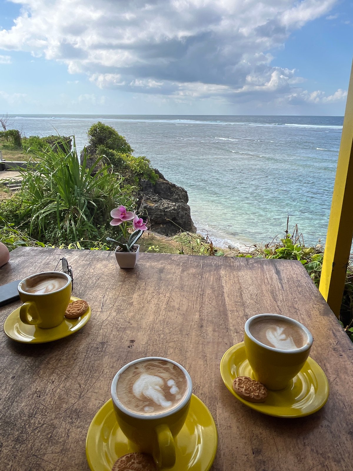 Morning coffee and monkey encounters documented in Kuta Selatan
