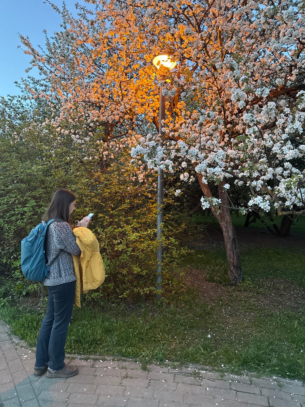Moscow residents enjoy spring evening recreation amid blooming trees