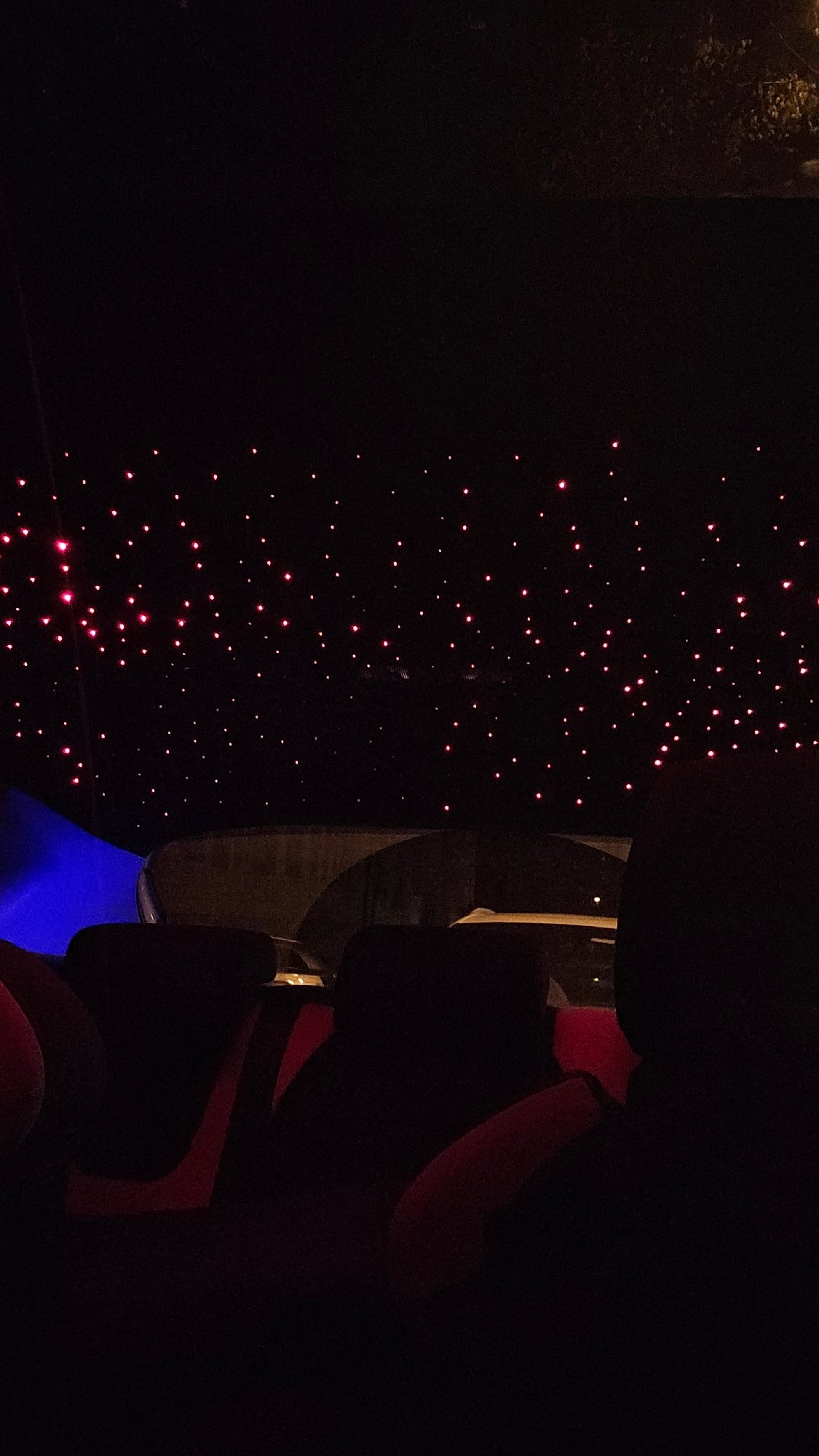 Sofia witnesses document starlight car interiors, theater venue visits