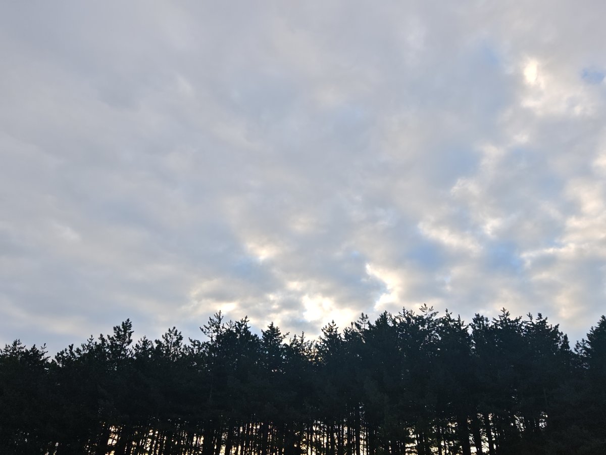 Dawn cloudscape photographed over forest in Vratsa, Bulgaria