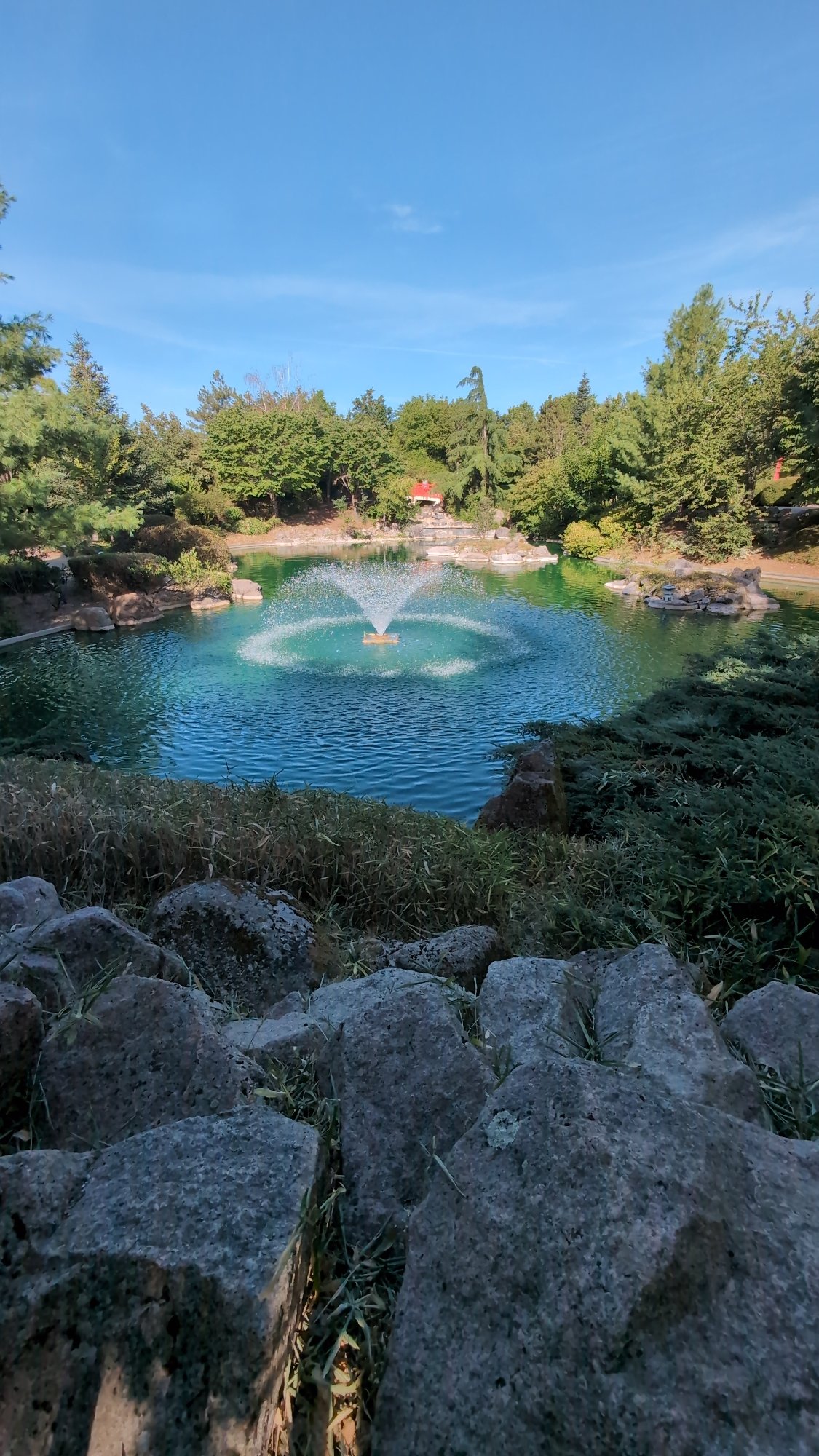 Japanese garden in Dijon on a sunny morning