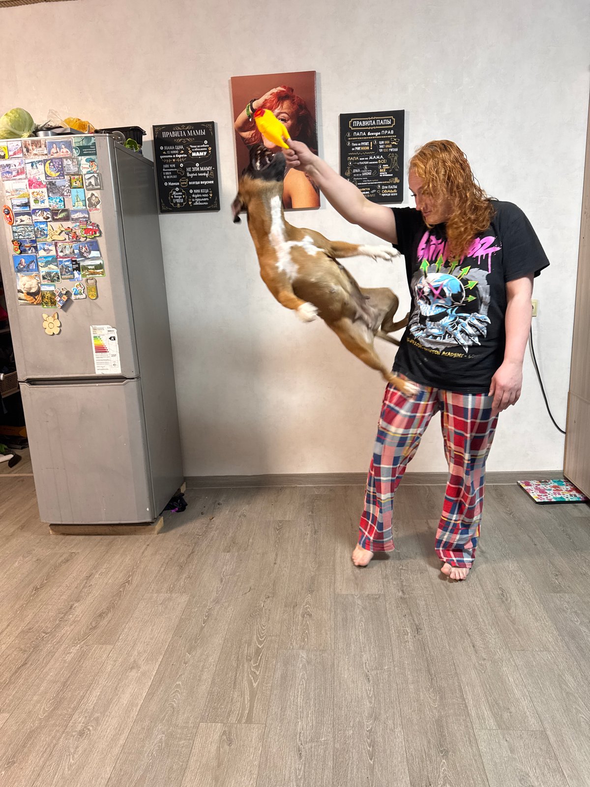Woman plays with jumping dog using yellow toy indoors