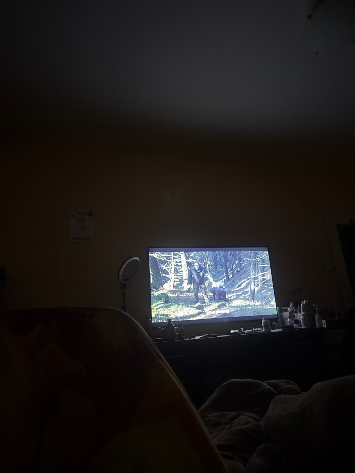 TV displays forest scene in low-lit Sofia room