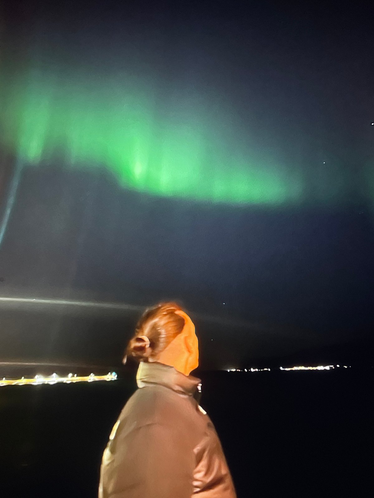 Person witnesses green aurora borealis display in night sky