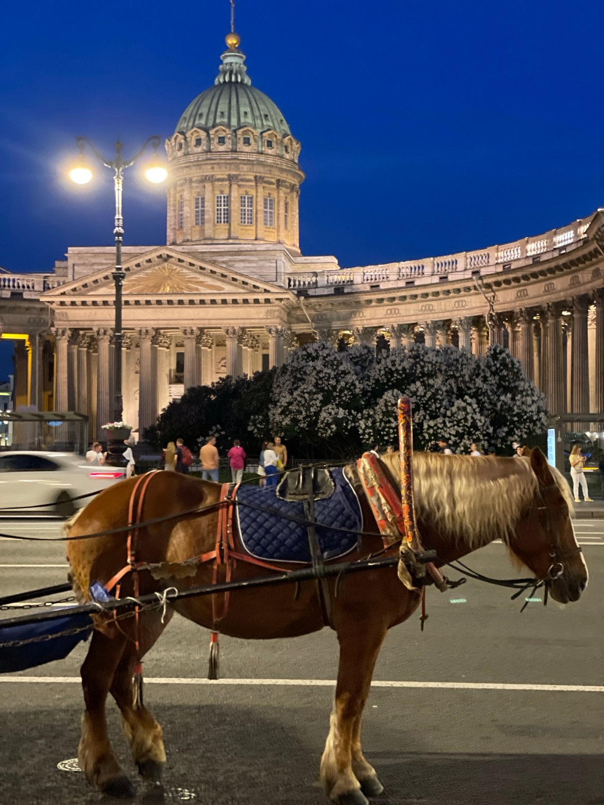 Evening architectural documentation across central Saint Petersburg landmarks