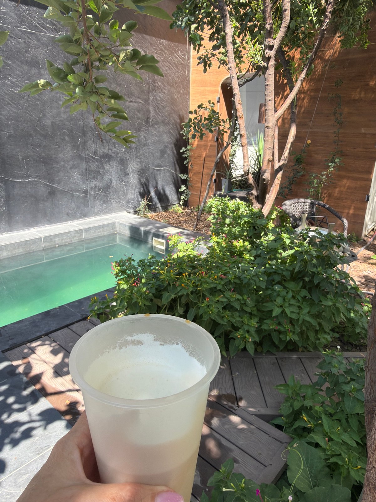 Lazy afternoon at a Tashkent garden property with a pool and husky